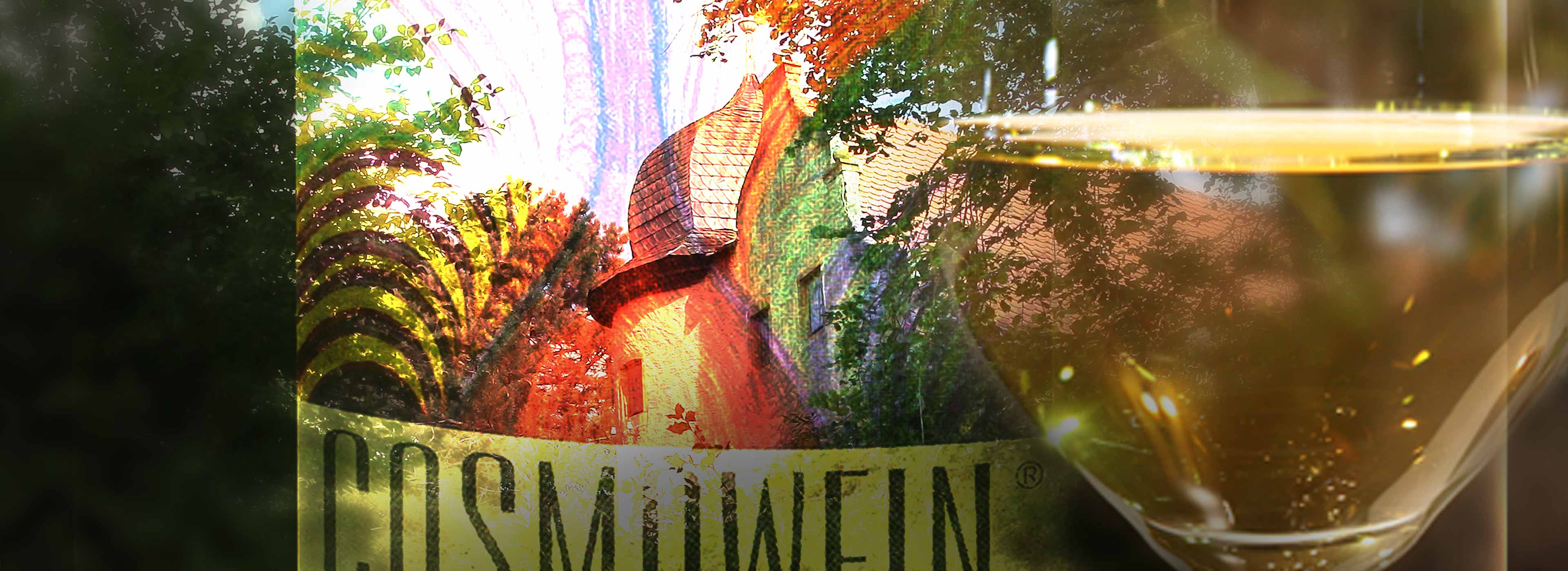bioenergetischer-Cosmowein-Weingut-Franken