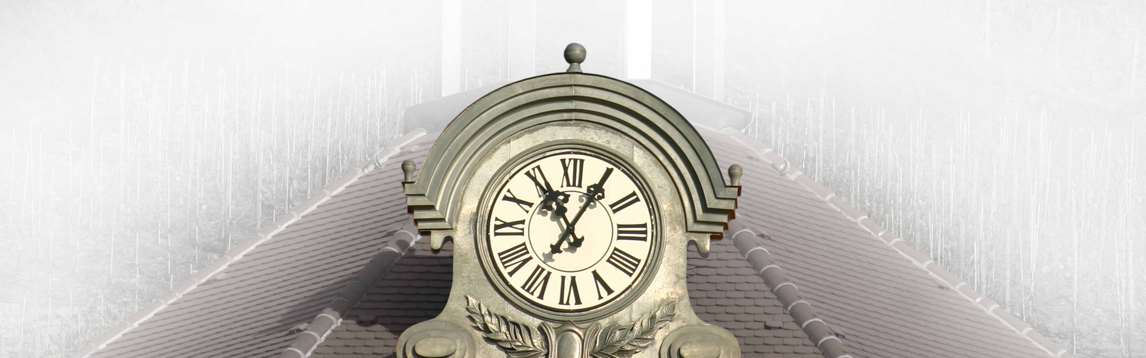 Öffnungszeiten Cosmowein Wörner Schloss Restraurant Hotel Weingut