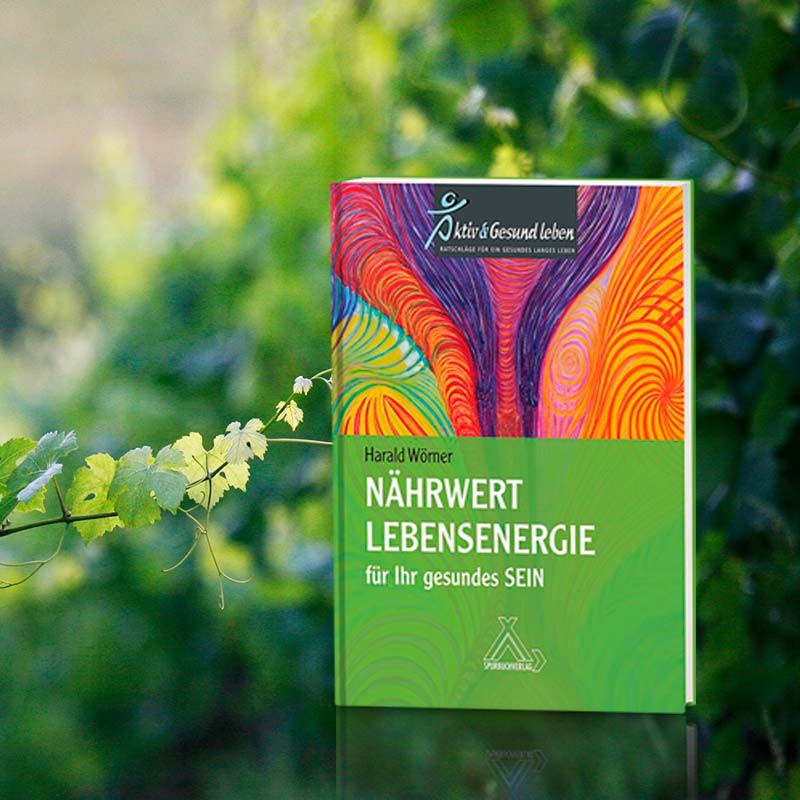 Buch Nährwert Lebensenergie