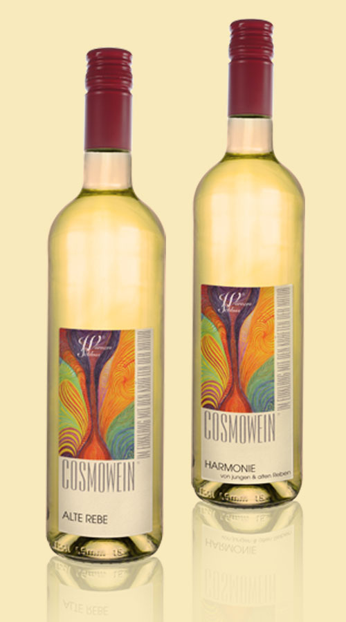 Alte Rebe Unterfranken